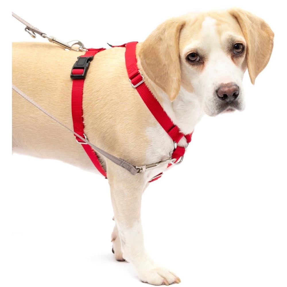 PetSafe Sure-Fit Adjustable Back Clip Dog Harness